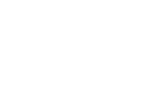 &nbsp;Longhorns Consulting provides design, manufacturing, configuration, and assembly services for businesses in a variety of vertical markets. We provide innovative, competitive solutions with exceptional quality and work as team members with all of our customers. Select from the drop down choices above to review our areas of expertise.